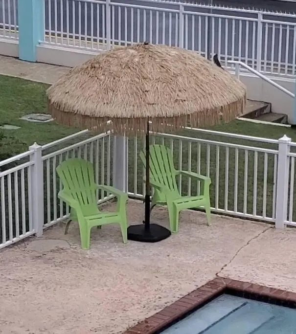 Summer All Year! Oceanfront With Pool A/C Aguadilla Apartament